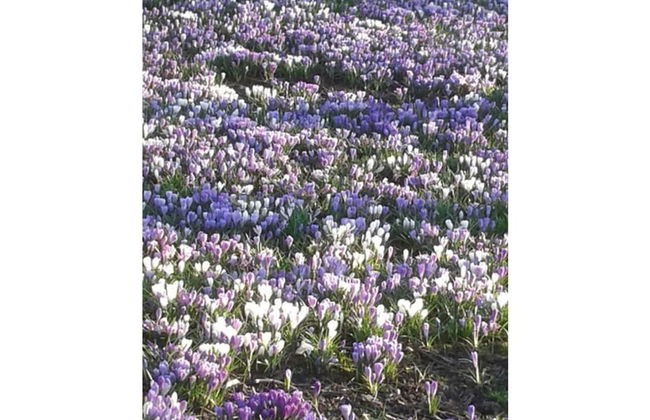 Holiday Apartment Bruhn - Photo 13