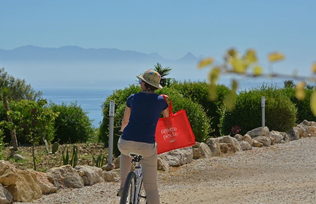 Tenute Plaia Agriturismo - Photo 35