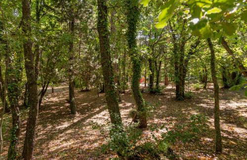 LN ETNA HOUSE-villa ad uso esclusivo - Foto 65