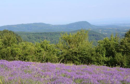 Kuća za odmor Koprivnjak - Foto 24