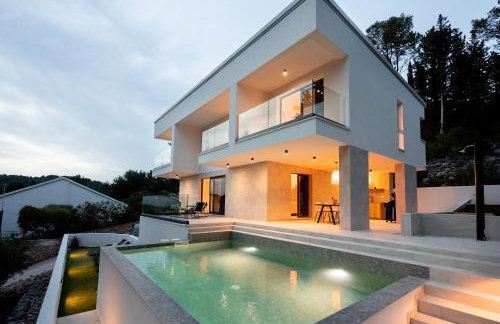 My seagull - Photo 1