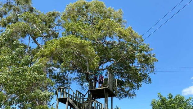 Puerto Plata Zip Line Shore Excursion - Foto 4