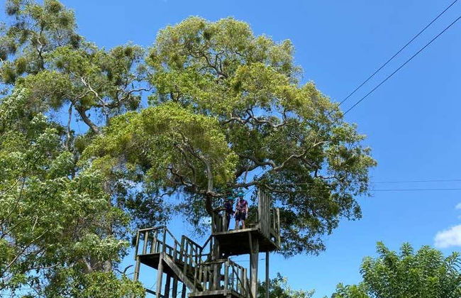 Puerto Plata Zip Line Shore Excursion - Photo 3