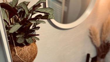 Holzhütte Ole zw. Meer & Wald mit Kamin & Sauna - Foto 5