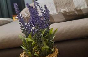 Apartman Tena - Foto 7