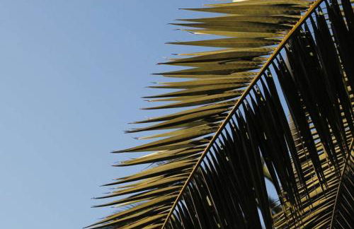 Casa del Sole - Foto 33