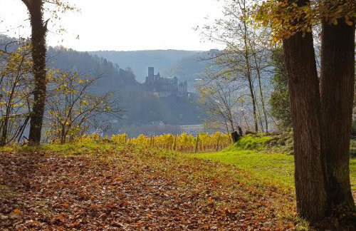 Gemütliche Ferienwohnung am Ortsrand - Foto 21