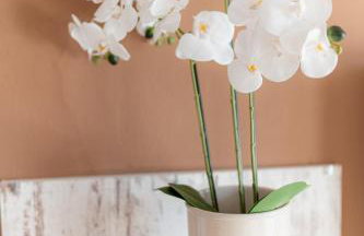 Sofia's Garden View - Photo 37