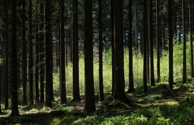 Holiday Home in Ardennes With Scenic Terrace - Photo 29