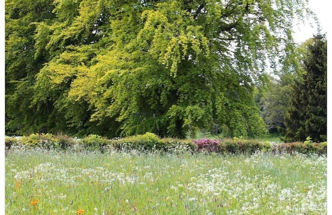 Cozy Holiday Home in Nature - Foto 80