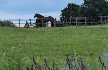 Ridgeway Farm Chilton - Foto 27