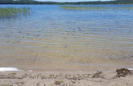 Brzozowa Polana - Foto 55