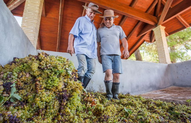 Aneli Villas - Villa Semeli - Foto 54