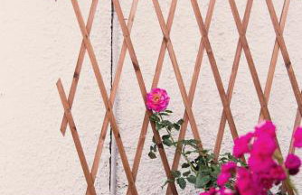 Villa Vasiliki - Foto 32