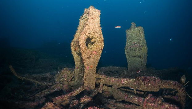 Double plongée dans le fantastique parc Ocean Revival - Photo 5