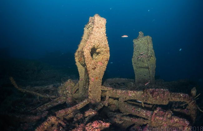 Double plongée dans le fantastique parc Ocean Revival - Photo 5