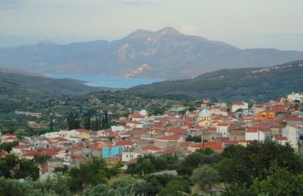 Stella's House - Foto 23