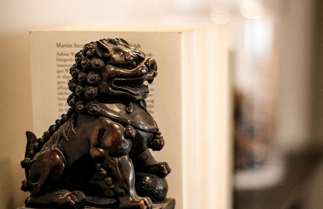 the backyard - Foto 29