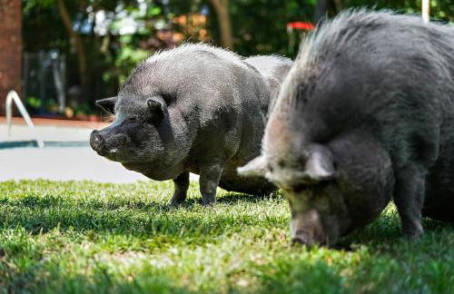 Beautiful lake house - Foto 20