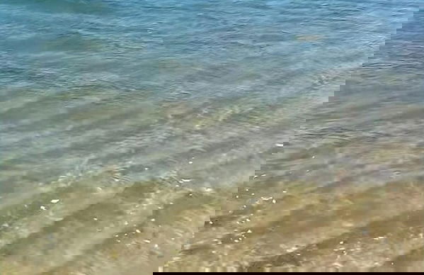 Seasonal Beach House View to the Sea in Brazil - Foto 36