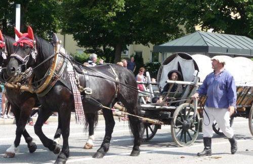 Ferienwohnung Renner - Foto 26