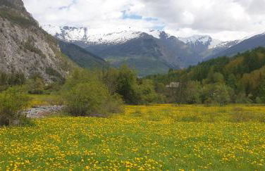 Casa Agnes - Foto 15