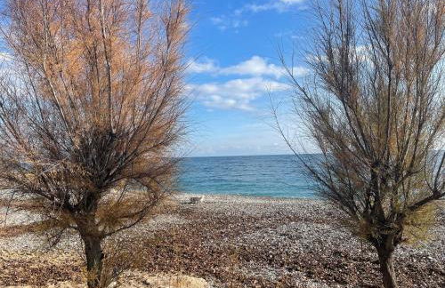 VILLENEUVE LOUBET PLAGE- Entre NICE et CANNES - Foto 61