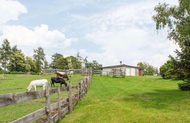 Farmhouse in Verbania With Lake Views - Foto 31