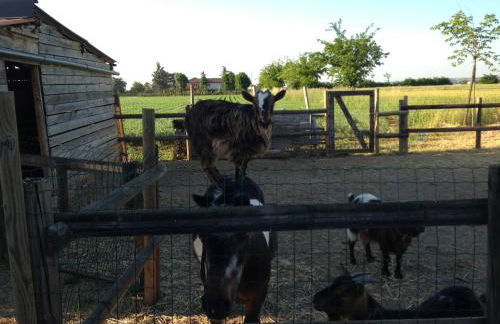 Cascina Folletto - Foto 70