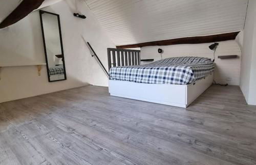 Au perchoir duplex dans le centre historique - Foto 7