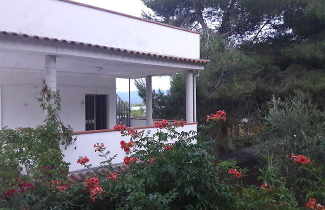 Viola Club Village - Photo 40