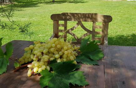 Tropical Studio - Foto 60