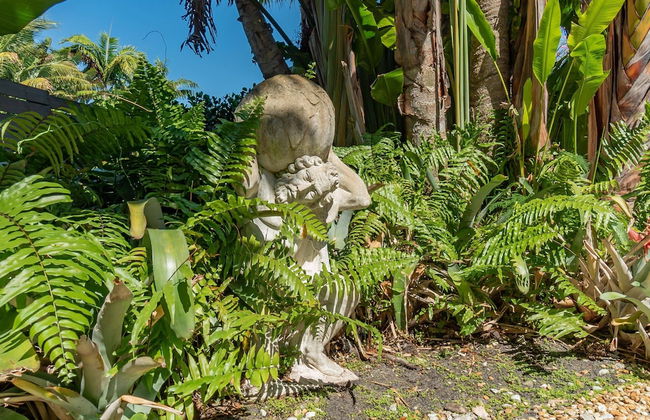 The Palms Cottage Private Pool, Downtown, Beach, The Square - Foto 45