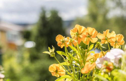 Friedolin im Bärenhüsli - Foto 22