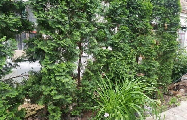 Downtown Duplex - Foto 59