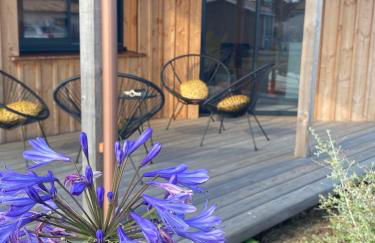 Cabane Alizée, Vensac Océan, Montalivet - Foto 34