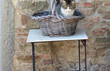 Agriturismo Corzano - Foto 31