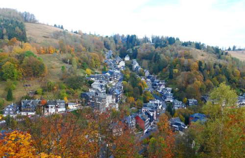 Lauschablick FeWo Thüringen - Foto 5