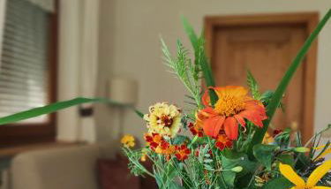 Maurerhof Apartments Kronplatz - Foto 4