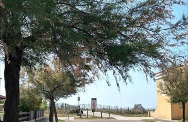 The beachside coquette - Foto 9