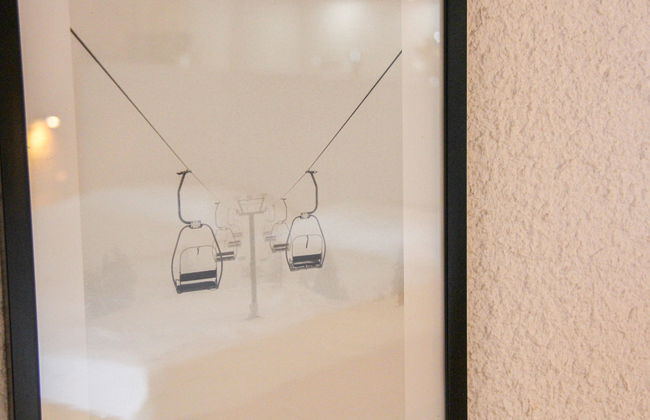 Le Bristol B36 - Foto 8