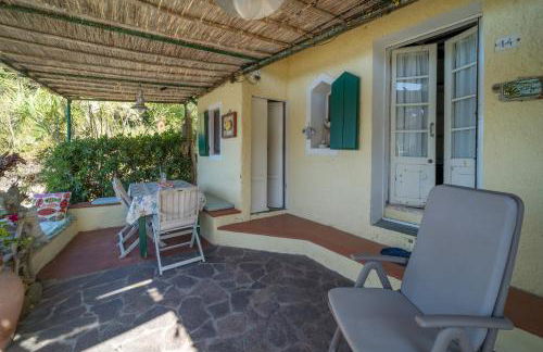 Agave direclty on the beach - Goelba - Foto 22