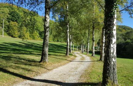 Schillerstüble - Foto 20