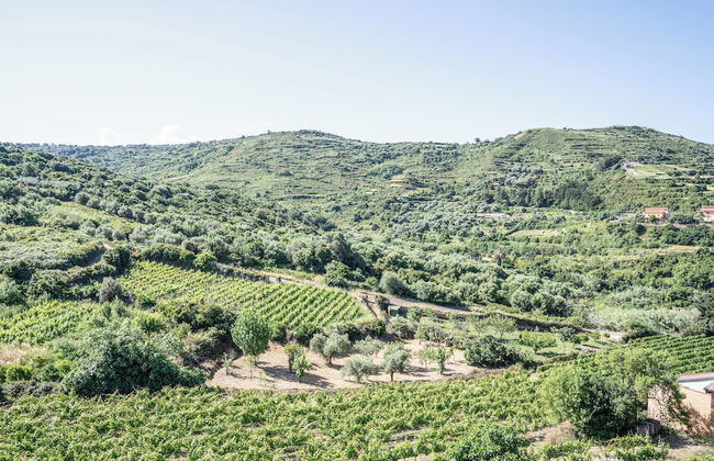 Le Case nel Vitigno - Foto 68