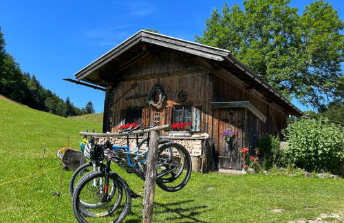 Alpin Chalet Reit im Winkl - Foto 18