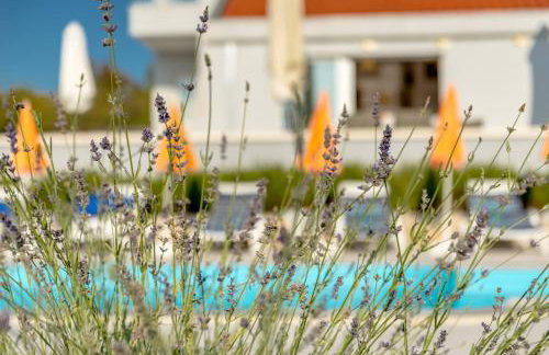 Rustic Villa Florice with a pool - Photo 14