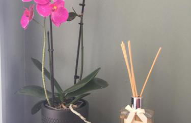 love Cévennes - Foto 22