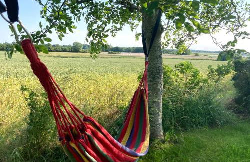 Ferienhaus Wackerhus - Foto 6