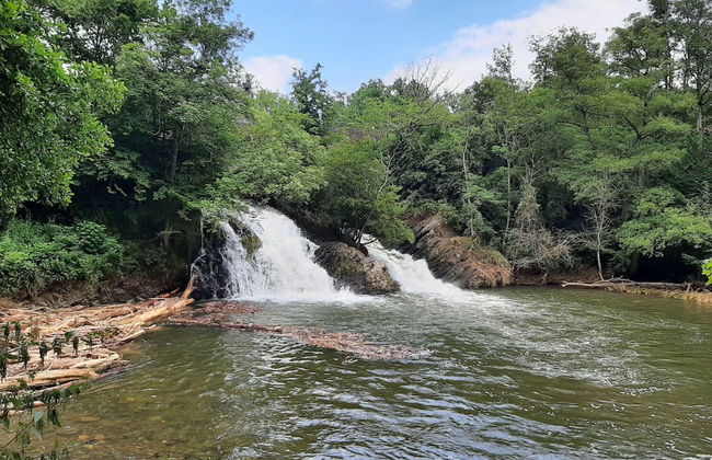 Earth Kingdom in the Pyrmonter Zehnthof - Foto 39