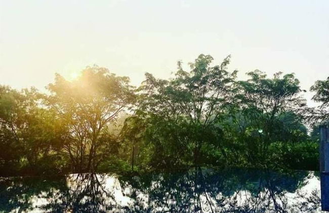 Kawana Golf Residence - Foto 33